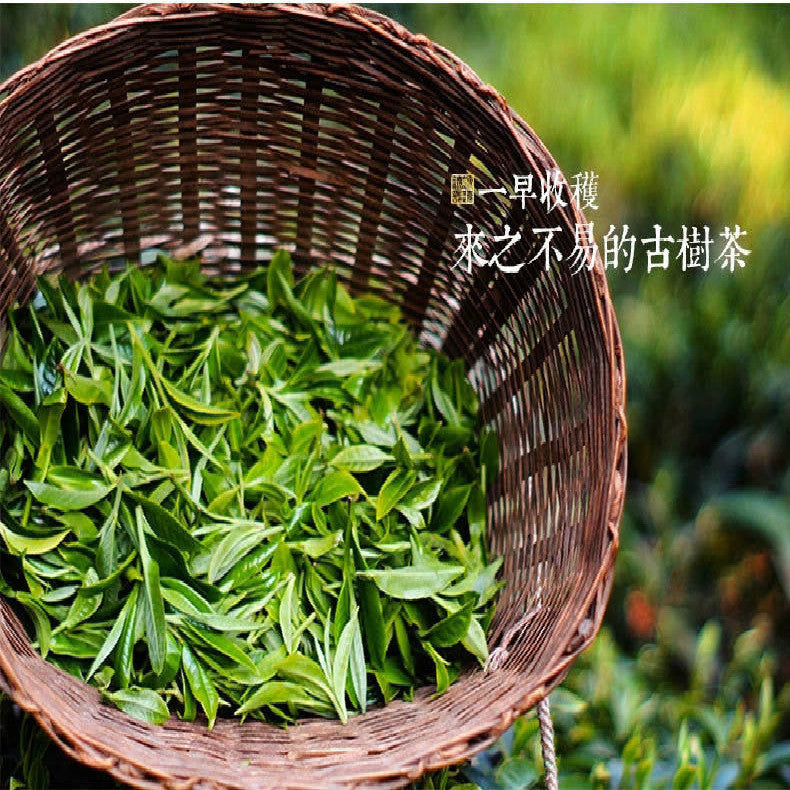 330g Ripened Pu-erh Tea Cake Organic Cooked Puer Tea Factory Direct Green Food 茶
