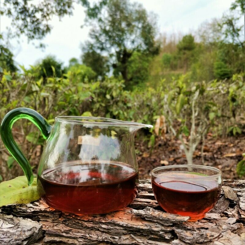 HelloYoung Premium Bulandashu Ripe Tea  Zhonghong Yin Brown Mountain Big Tree Ripe Tea 357g