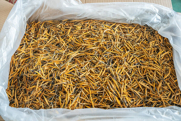 HelloYoung Yunnan Fengqing Spring Tea Dian Hong Tea Big Gold Needle Black Tea Big Gold Bud