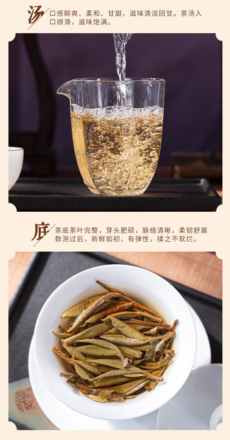 Yunnan Bai Mu Dan White Tea Loose Leaf Large Leaf Variety