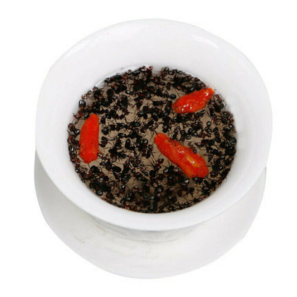 HelloYoung Bai Shan Mountain Black Ant Vic Roger Polyrhachis 500g Premuim China Wild Chang