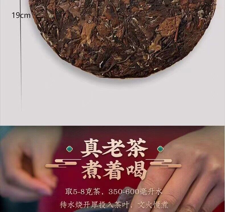 HelloYoung 100g Fuding White Tea Old Shoumei Aged Jujube Herbal White Tea Small Cake