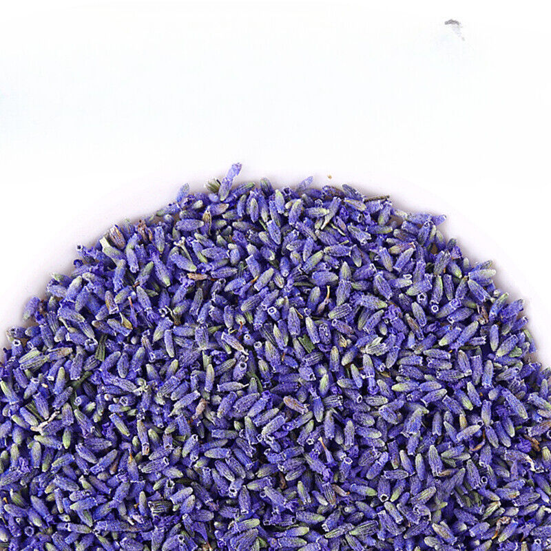 Lavender Bulk Dried Lavender Flowers 500g Main image
