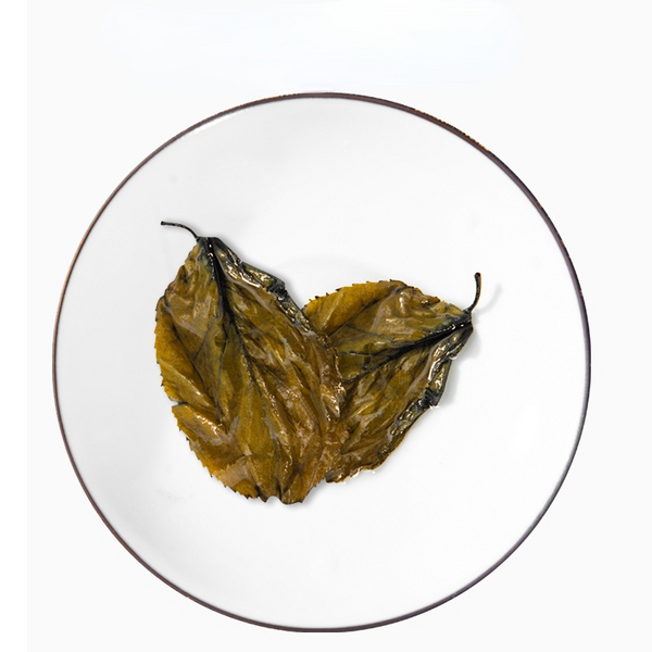 HelloYoung 125g Eucommia Leaves Tea Natural Berbal Tea Du Zhong Ye Green Food Health Care