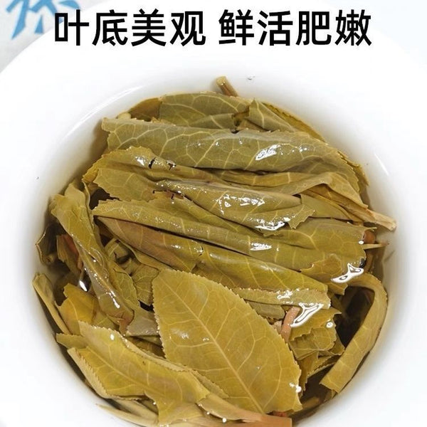First Spring Tea Iceland Laozhai Puerh Tea Raw Tea Lincang Ancient Tree Tea Cake