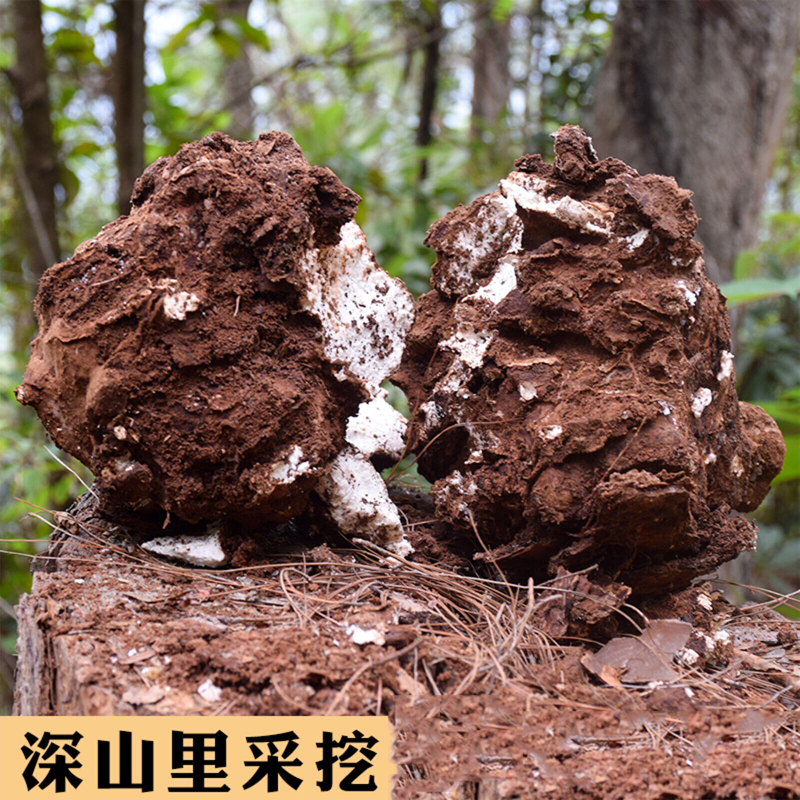 HelloYoung 500g Genuine Poria Cocos Organic Herbbal Tea Used for Soup Porridge Health Care
