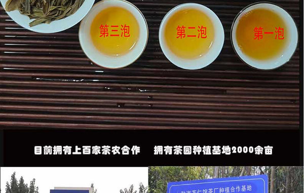 HelloYoung Yunnan Tea Nannoushan Head Spring Ancient Tree Pu'er Raw Tea 357g Cake Tea