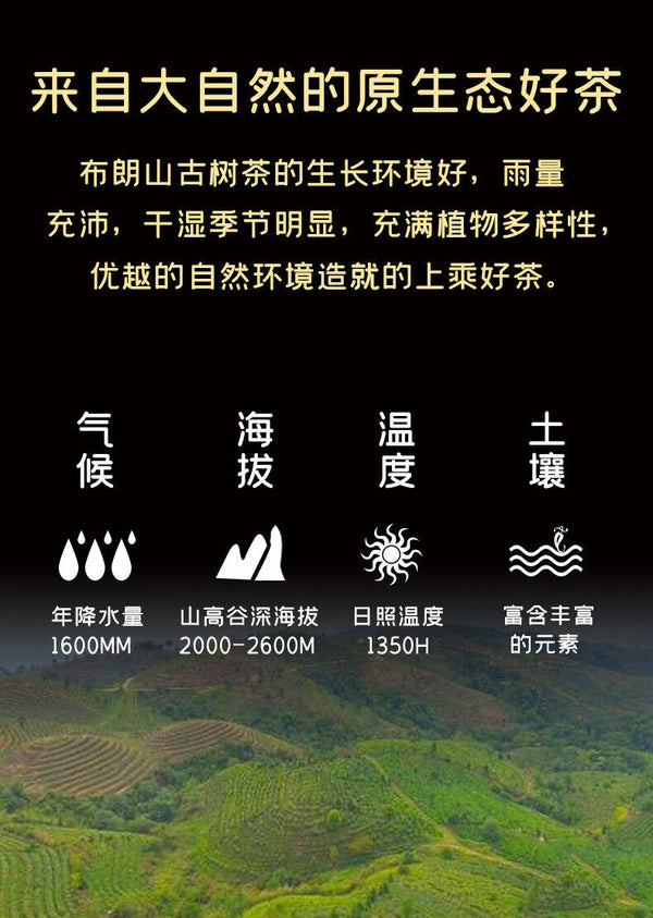 HelloYoung 250g Brown Mountain Tuo Tea Yunnan Pu'er Tea Wholesale Tea Pu'er Raw Tea