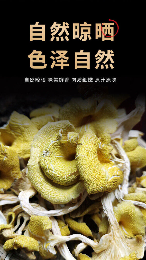 Chicken Oil Mushroom  Yunnan Specialty Yellow Silk Mushroom Soup