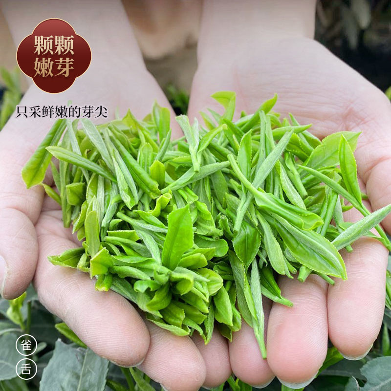 HelloYoung Fragrant Tea Alpine Yunwu Green Tea Wholesale Rizhao Fried Green Strong Tea
