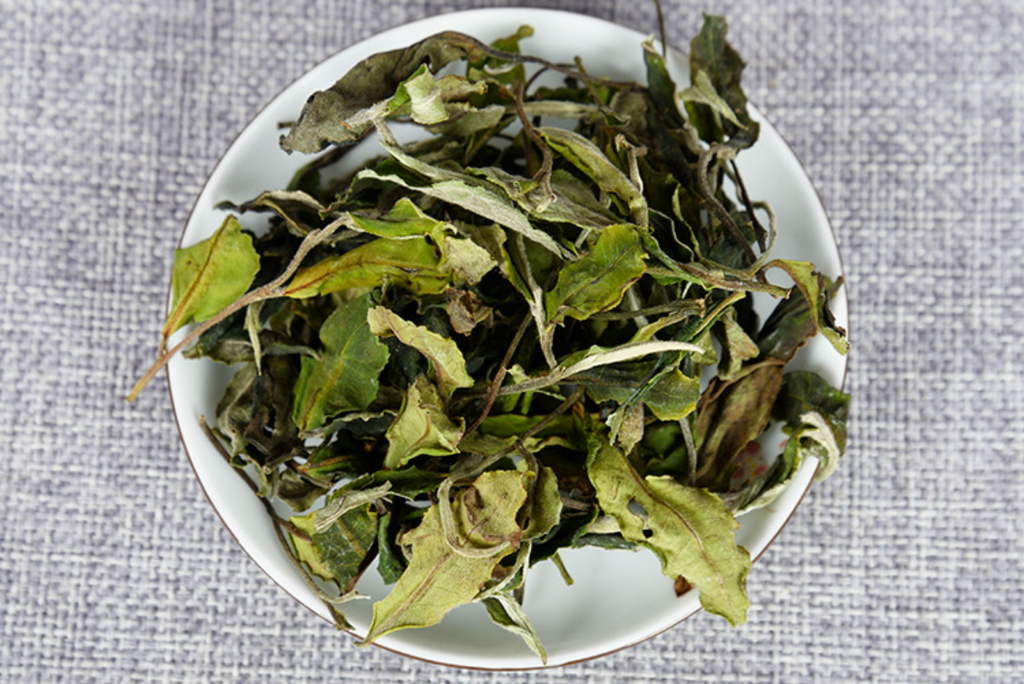 HelloYoung 500g Yunnan white tea early spring ancient Fuding white tea process white tea