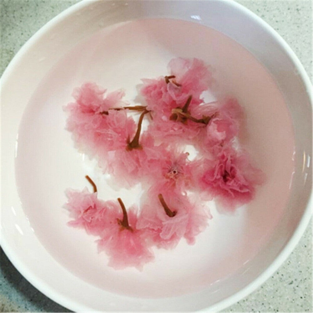 Japanese Salted Cherry Blossom Tea Pink Sakura Cha Traditional Preserved Floral