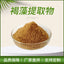 100g Brown Algae Extract Powder 20:1 | Seaweed Derived | Water Soluble| Vegan