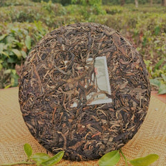 HelloYoung Green Tea Organic Aged Old Tea Cake Original Gaoligong Mountain Pu'er Tea 357g