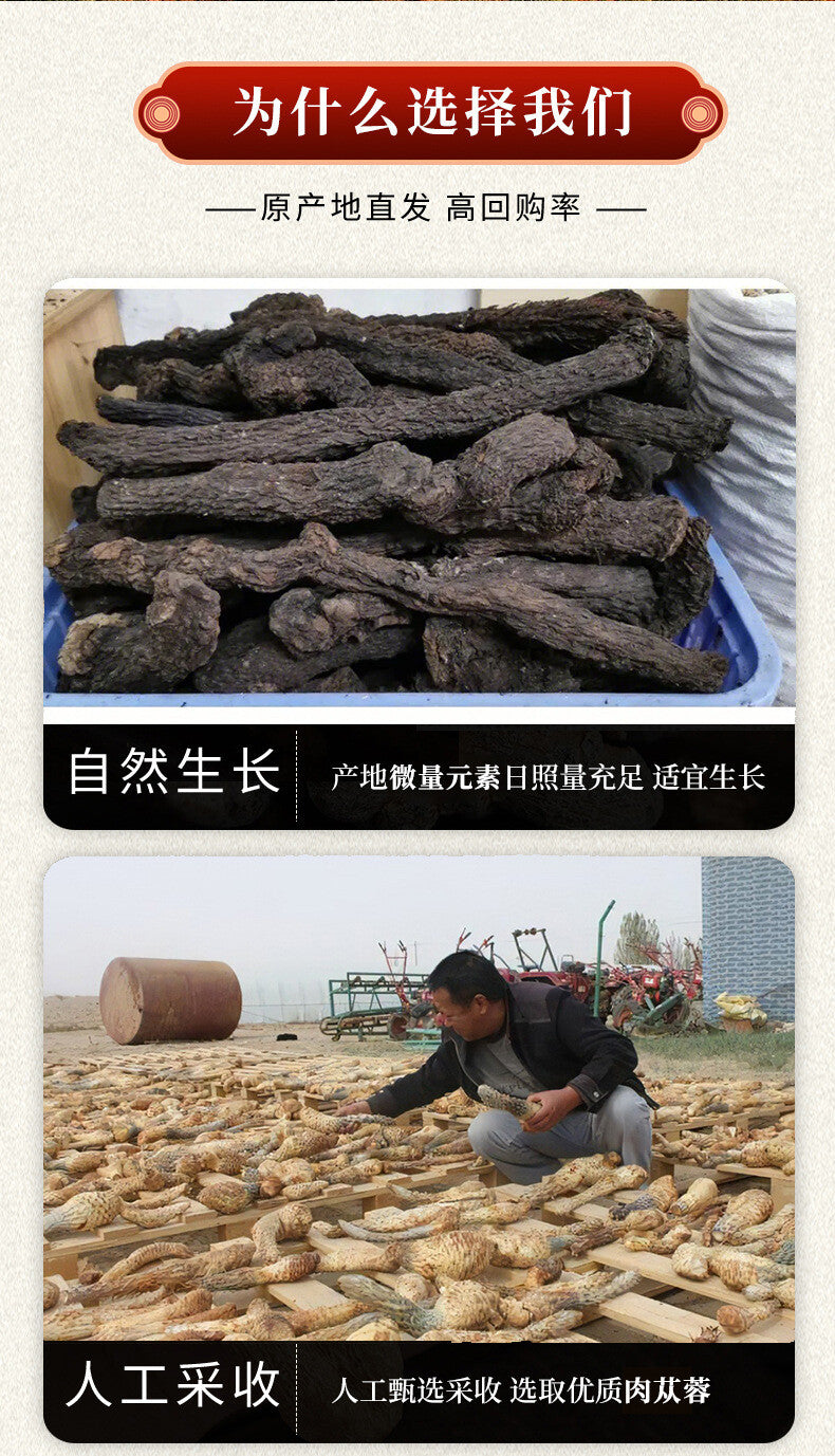High Quality Cistanche Powder 250g Natural Cistanche Deserticola Herbal Tea