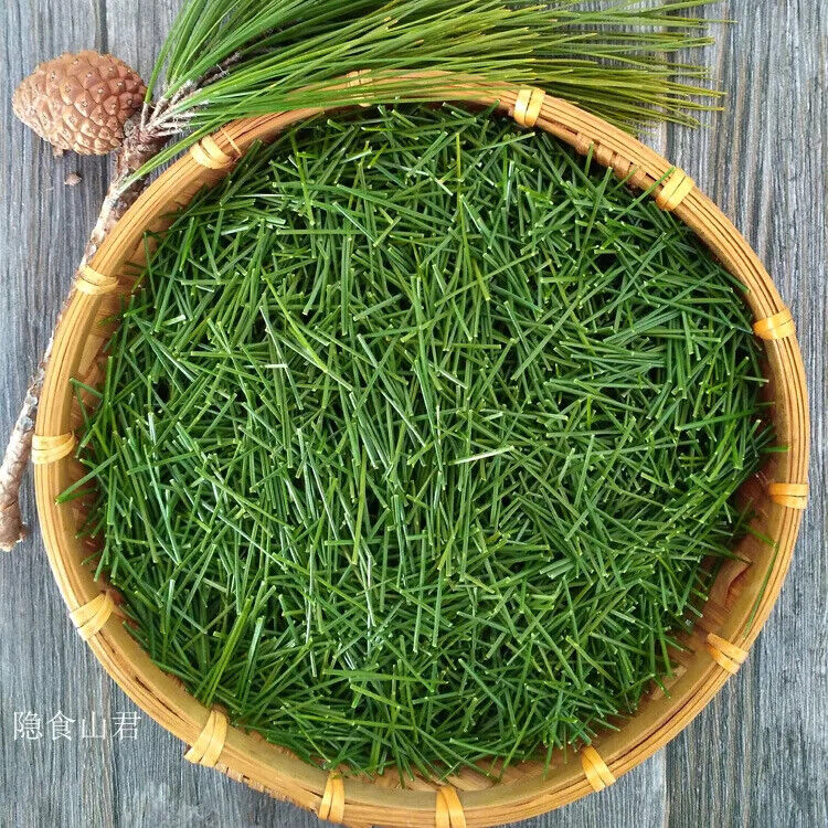 First Grade Natural Chinese Herbs Pine Needles Tea for Improving Sleeping