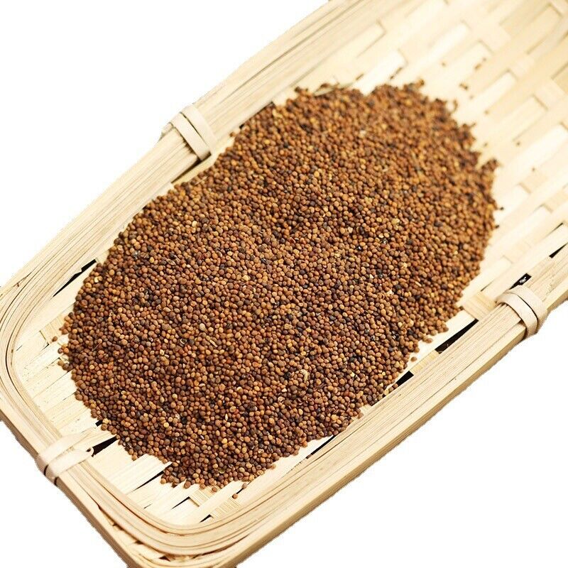 HelloYoung Cuscuta Water-washed Cuscuta Solidus Rabbit Seed Flower Tea Chinese Herbs 500g