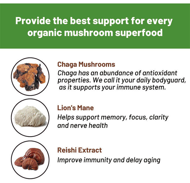 Hot Sell ! Instant Mushroom Coffee, Mushroom Coffee