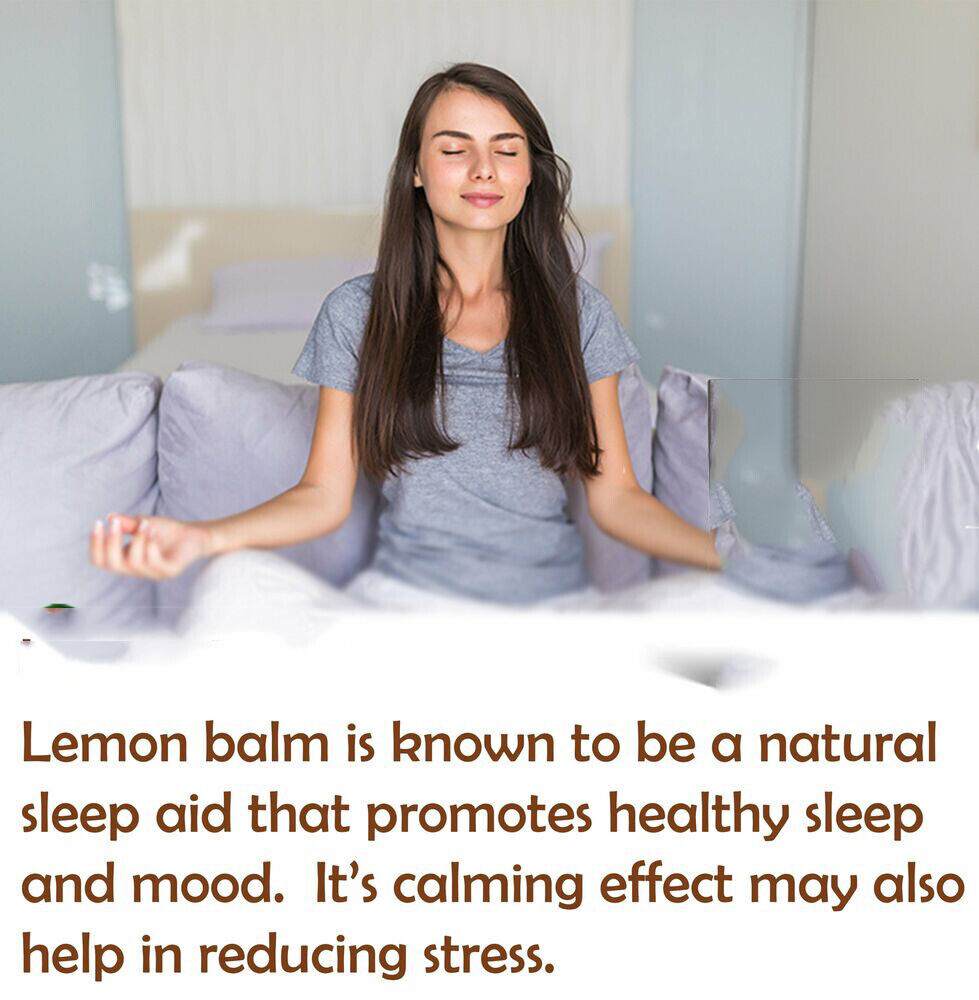 Lemon Balm Extract Powder 10:1 | Melissa Herbal Supplement 200G