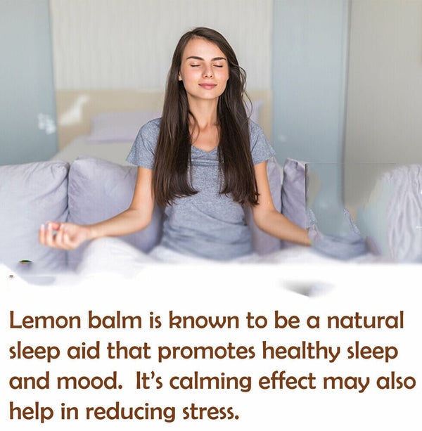 Lemon Balm Extract Powder 10:1 | Melissa Herbal Supplement 200G