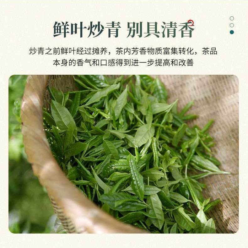 HelloYoung Green Tea Green Biloba Roll Green Tea New Tea Strong Fragrance Type Extra 100g