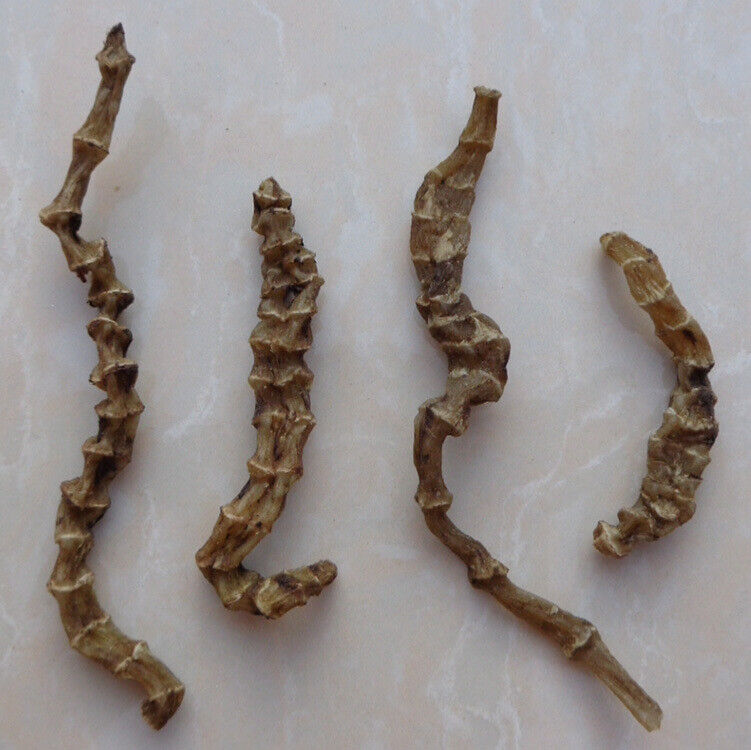 HelloYoung Herbal Medicine Ground Ginseng Cordyceps Ginseng Cordyceps Ginseng Male 500g