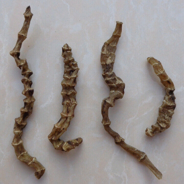 HelloYoung Herbal Medicine Ground Ginseng Cordyceps Ginseng Cordyceps Ginseng Male 500g