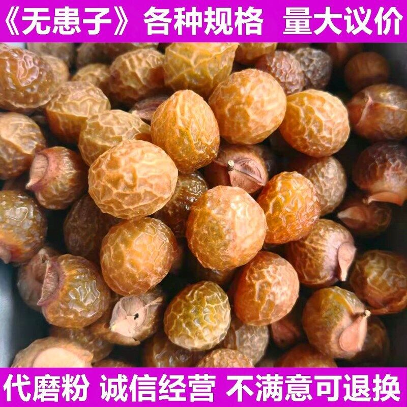 HelloYoung Sapindus indica pericarp herb Sapindus indica pericarp Sapindus indica500g/1.1lb