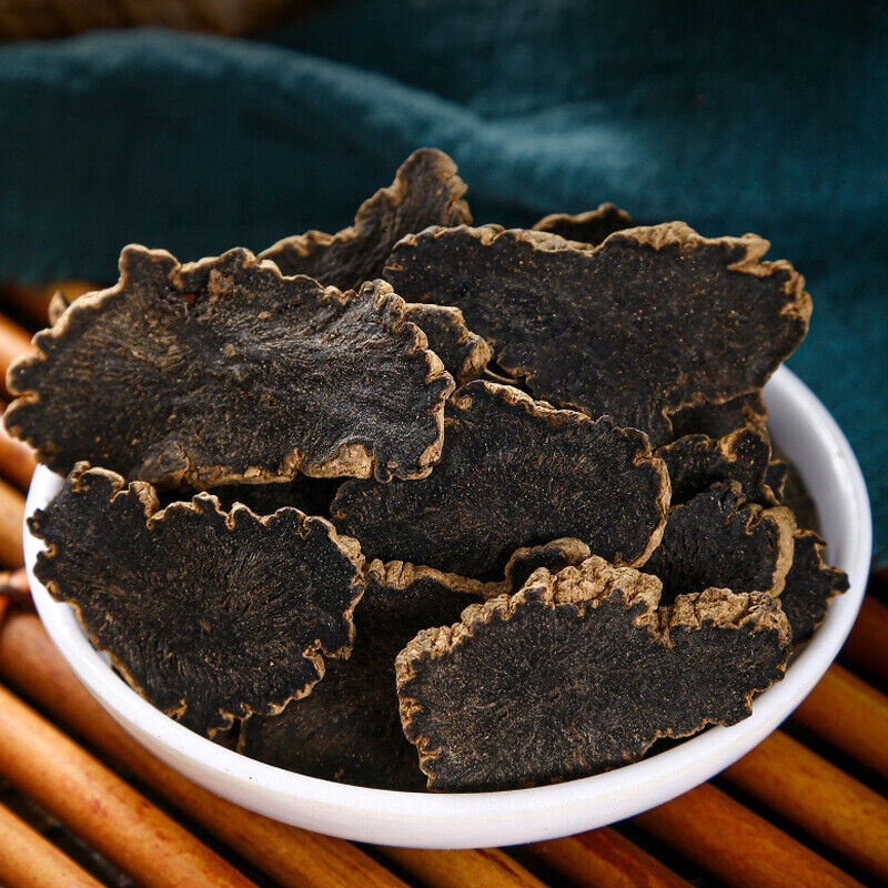 Premium Scrophularia Root  High Quality Affordable