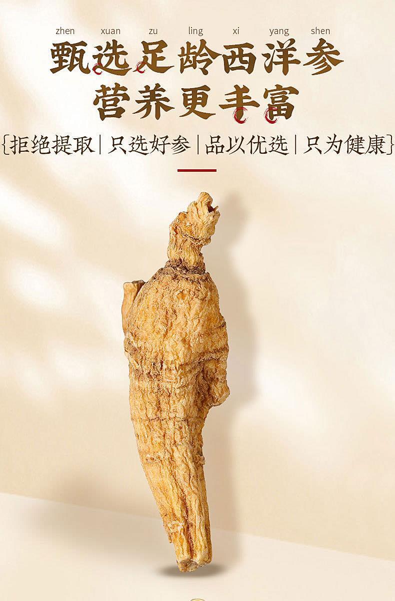 American Ginseng with Foot Protoginseng Can Be Soaked in Wine To Make Tea