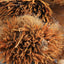 HelloYoung Ciweipi Healthy Care 100% Chinese Top-grade Authentic Hedgehog Skin 50g 正品刺猬皮