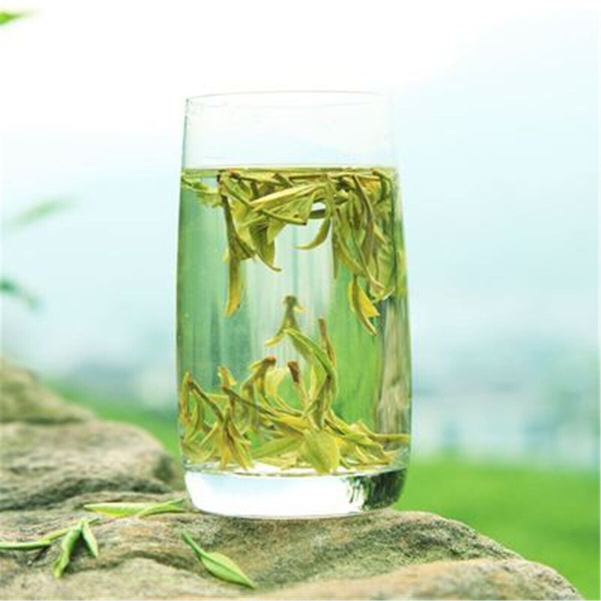 Longjing Tea 500g New Tea Green Tea Mountain Rain Before Authentic West Lake
