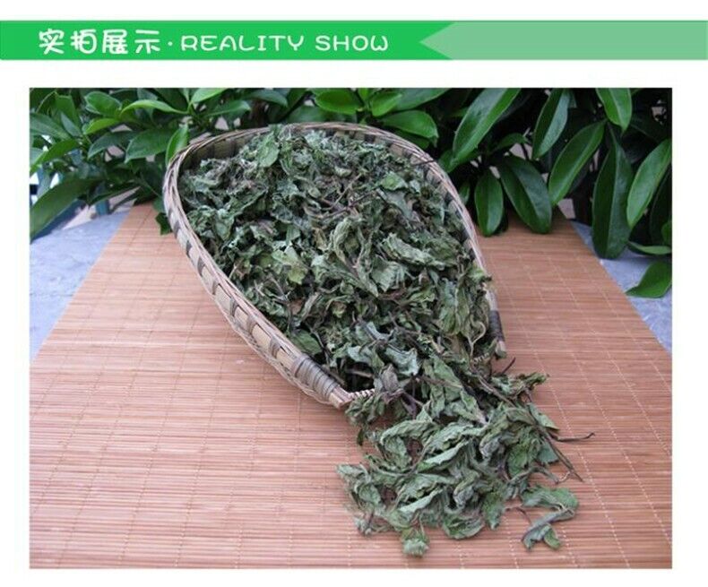 HelloYoung Premium Cool Mint Tea Herbal Tea Reduce Liver Fire Mint Leaves Wild Mint tea 50g