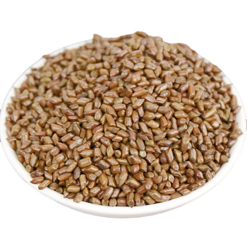 HelloYoung 500g Cassia seeds tea new product cooked cassia seeds tea bulk herbal tea Main image