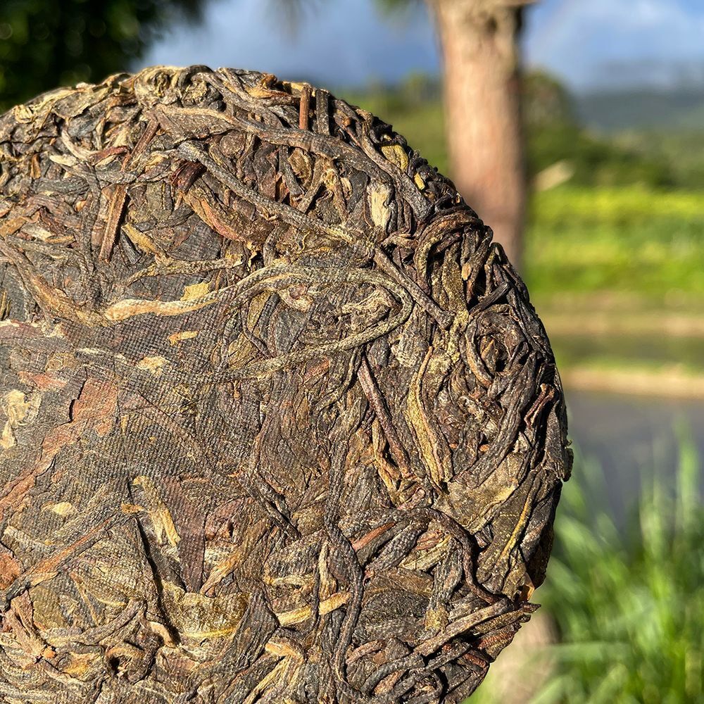 HelloYoung Rare Icelandic Ancient Tree Pu-erh Tea Fat Scraping Raw Tea Sweet 100g
