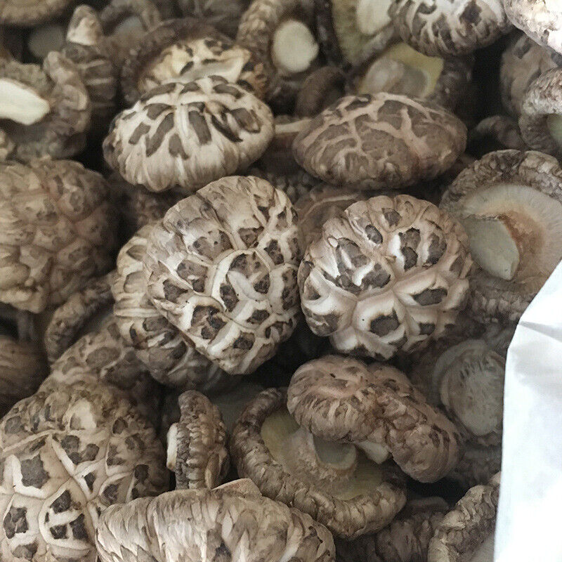 HelloYoung Premium Dried Tea Flower Edible Mushroom Chinese Herbal Fungi Bag Package 250g