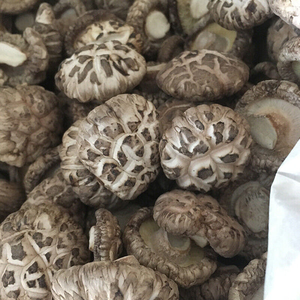 HelloYoung Premium Dried Tea Flower Edible Mushroom Chinese Herbal Fungi Bag Package 250g