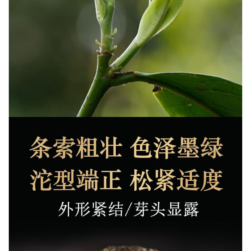 HelloYoung Xiaguan Tuo Cha Shen Pu-erhChaPu'er Tea Puer Tea100g/Box Dali Tuocha