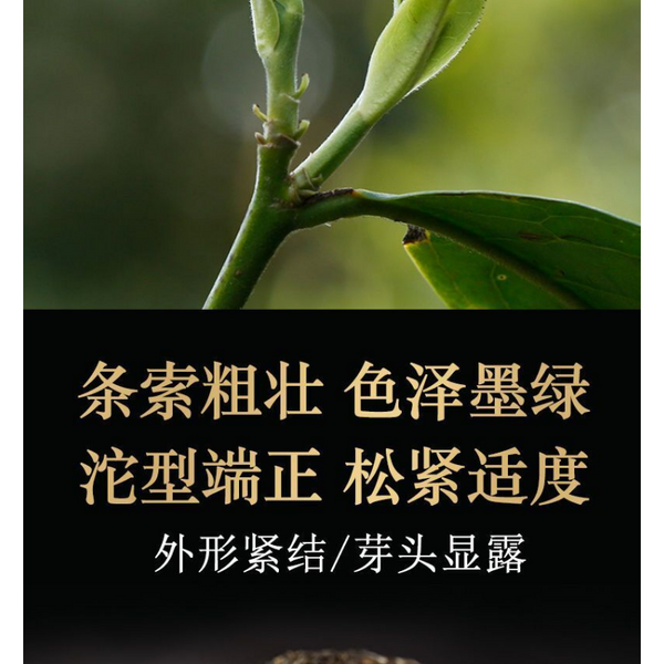 HelloYoung Xiaguan Tuo Cha Shen Pu-erhChaPu'er Tea Puer Tea100g/Box Dali Tuocha
