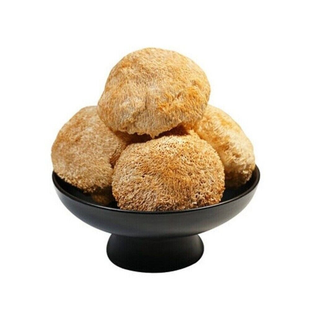 Lions Mane Mushroom 250g Organic Dried Chinese Herbal Premium Natural Secondary image