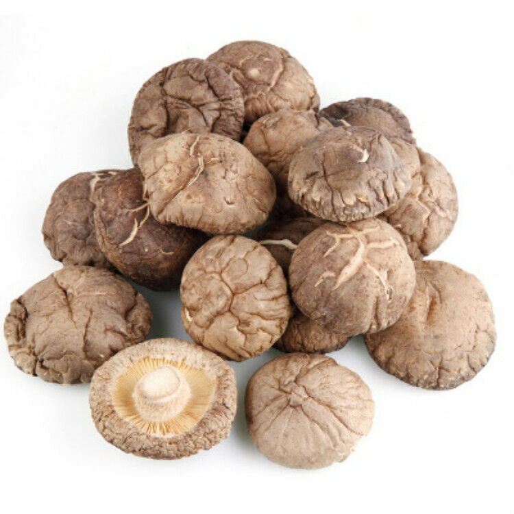 HelloYoung Chinese Dried Mushroom 4-5cm Glossy Mushroom Fujina Winter Dried Shiitake 250g