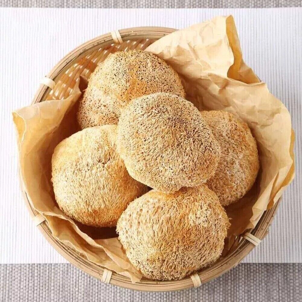 Lions Mane Mushroom 250g Organic Dried Chinese Herbal Premium Natural Main image