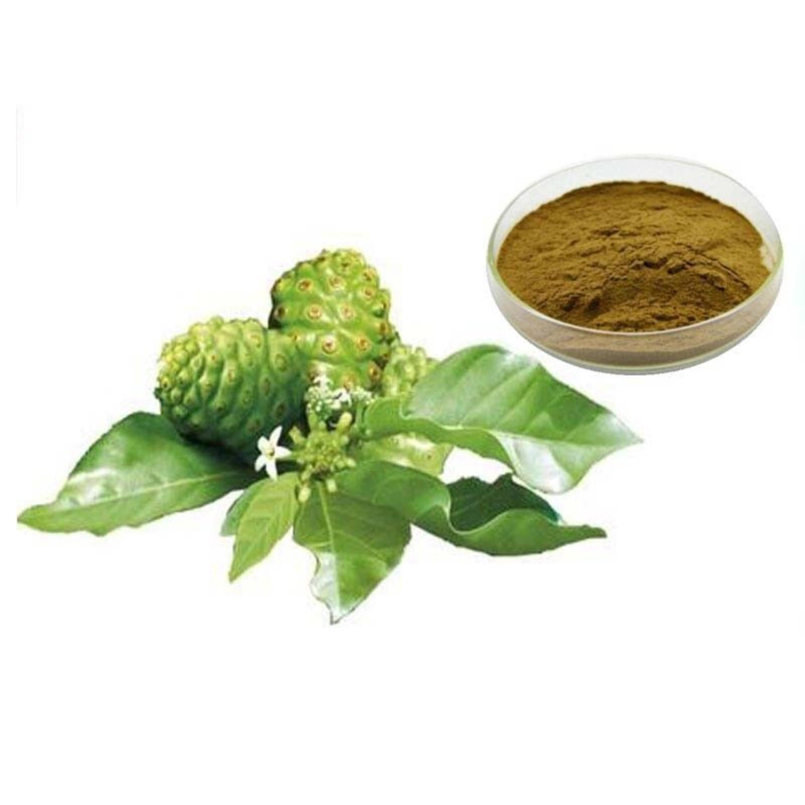 Morinda Citrifolia For Weight Loss Energy Boost 100g Noni Extract (10:1) Powder Main image