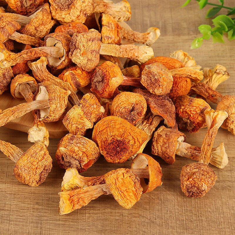 JiSongRong Top Grade Brazil Mushroom for Cooking Soup  Dried Goods 100g/3.52oz