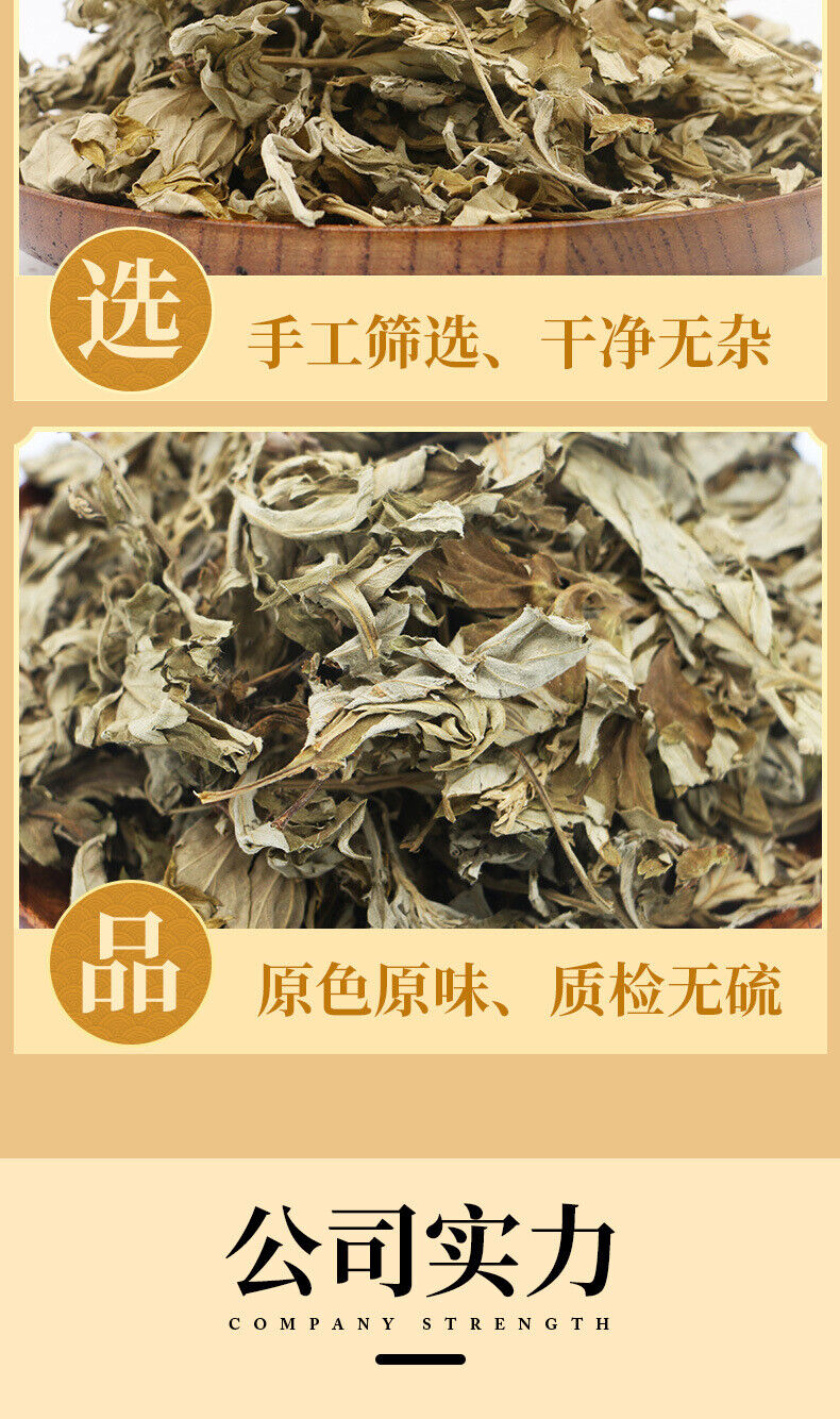 HelloYoung Big Mugwort Leaf Mugwort Leaf Fresh Mugwort Leaf Produce Mugwort Herb 500g/1.1lb