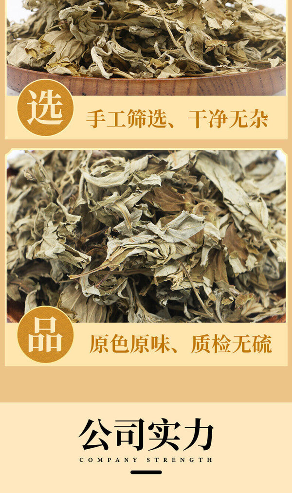 HelloYoung Big Mugwort Leaf Mugwort Leaf Fresh Mugwort Leaf Produce Mugwort Herb 500g/1.1lb
