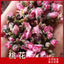 HelloYoung Wholesale peach blossom / dried peach blossom origin direct sales 500g/12.59oz