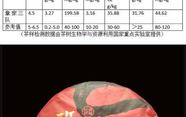 HelloYoung Yunnan Pu'er Banzhang Mother Tree First Spring Pu'er Raw Tea 357g Cake Tea