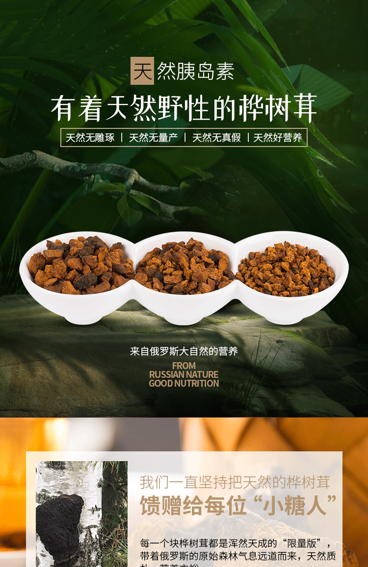 Authentic Chaga Premium Chaga Granulat 200g/Dose Essbare Pilze Gesundheitspflege