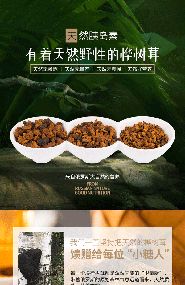Authentic Chaga Premium Chaga Granulat 200g/Dose Essbare Pilze Gesundheitspflege